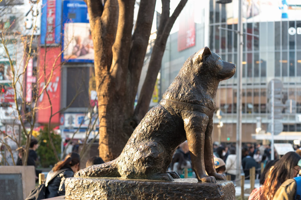 渋谷 待ち合わせ場所